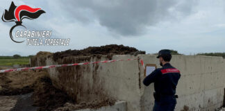 Letame nel Lago Patria: maxi sequestro a Giugliano, denunciato allevatore