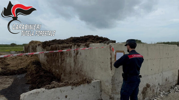 Letame nel Lago Patria: maxi sequestro a Giugliano, denunciato allevatore