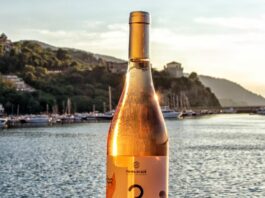 Vini Rosé in Campania: l’eccellenza di Aglianico e Piedirosso