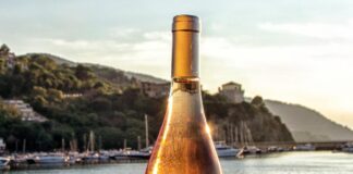 Vini Rosé in Campania: l’eccellenza di Aglianico e Piedirosso