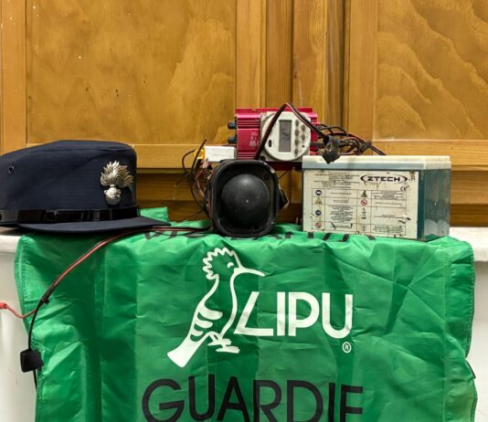 Campania: sequestrati 11 richiami elettromagnetici per il bracconaggio notturno