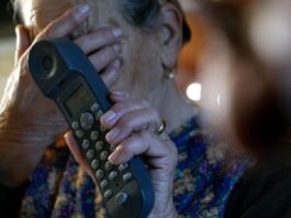 Allarme truffe a Pimonte e sui Monti Lattari: il Comune mette in guardia i cittadini