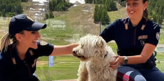 Estate 2025, la Polizia di Stato rilancia la campagna social contro l’abbandono degli animali