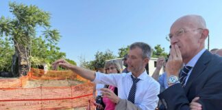 Villa dei Misteri, a Pompei si torna a scavare: riemergono l’ingresso antico, la via Superior e il quartiere servile