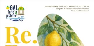 Il profumo degli agrumi apre la rivoluzione rurale: a Piano di Sorrento il primo incontro del GAL Terra Protetta