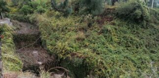 Sarno, interventi per quasi 8 milioni alle vasche: “Priorità assoluta per la sicurezza del territorio”