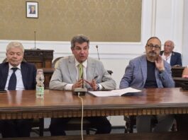 Castellammare di Stabia. Vicinanza: "Un anno di lavoro concreto per rilanciare la città"