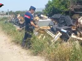 Brusciano, il silenzio della campagna nascondeva una discarica: tra i rifiuti, anche la carcassa di un cavallo