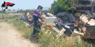 Brusciano, il silenzio della campagna nascondeva una discarica: tra i rifiuti, anche la carcassa di un cavallo