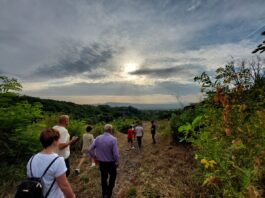 “Natura in festa”, a Pollena Trocchia torna la serata tra musica, sapori e bellezze naturali