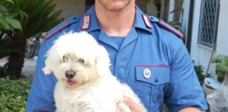 Giugliano in Campania, “cane di ritorno” a Varcaturo: arrestato 16enne, denunciato il padre