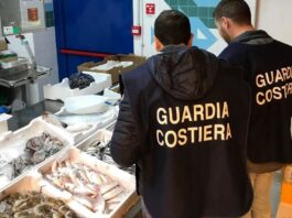 San Giuseppe Vesuviano, pesce senza etichette: sanzione da 1.500 euro per una pescheria