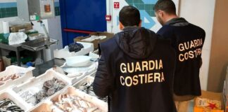San Giuseppe Vesuviano, pesce senza etichette: sanzione da 1.500 euro per una pescheria