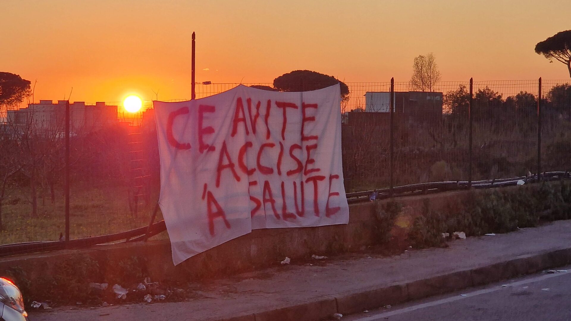 Torre Annunziata, allarme virus West Nile e Usutu: il movimento “Ce Avite Accise A Salute” chiede una task force urgente