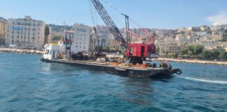 Napoli, rimossi 80 tonnellate di corpi morti abusivi davanti al Consolato USA