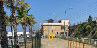 Torre del Greco, nasce il “cane di quartiere”: firmata l’ordinanza dal sindaco Mennella