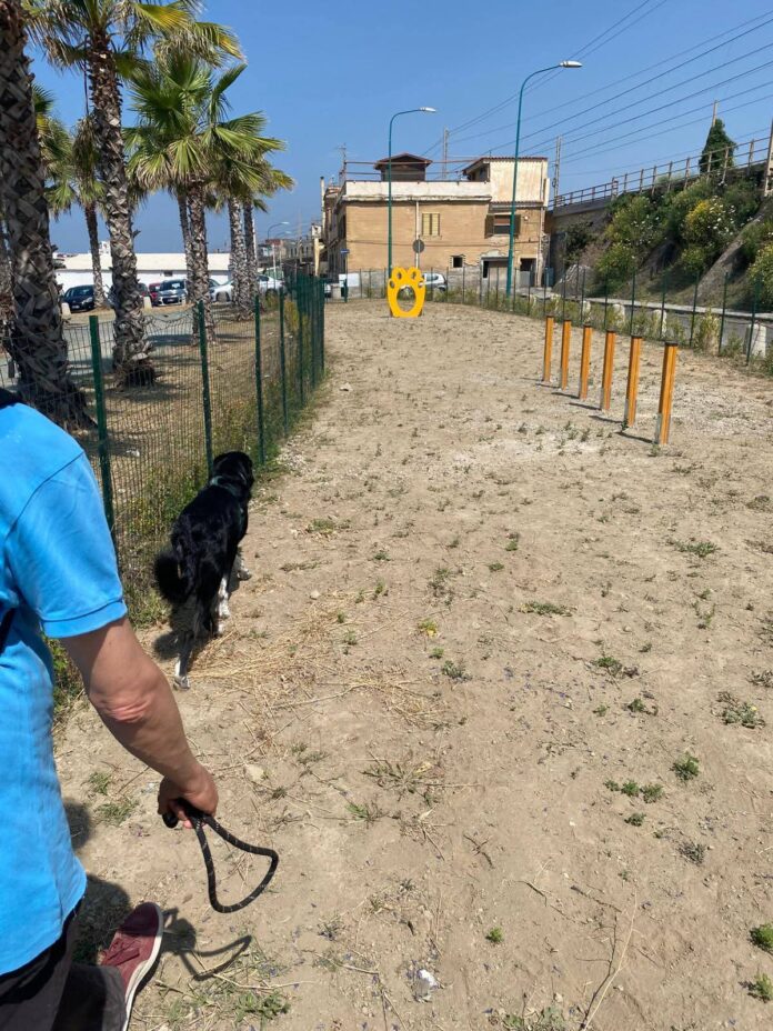 Torre del Greco, nasce il “cane di quartiere”: firmata l’ordinanza dal sindaco Mennella