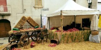 XXXI Edizione della “Festa della Mela Annurca” a Valle di Maddaloni