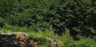 Pimonte, una task force per far fronte al fenomeno degli sversamenti abusivi nell’area destinata alla realizzazione dei ponti tibetani