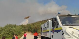Fiamme sul Vesuvio: oltre mille lanci d’acqua e centinaia di ettari distrutti