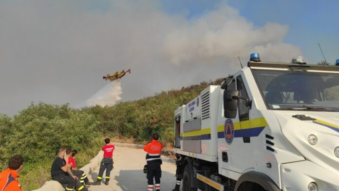 Fiamme sul Vesuvio: oltre mille lanci d’acqua e centinaia di ettari distrutti