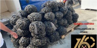 Castellammare di Stabia, sequestrata una tonnellata di mitili privi di autorizzazioni sanitarie
