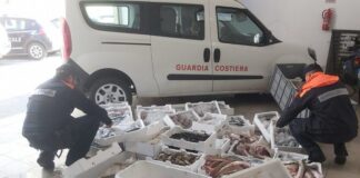 Pompei, un quintale di pesce senza tracciabilità: scatta il sequestro della Guardia Costiera stabiese