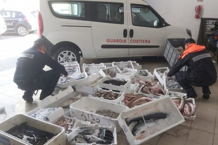 Pompei, un quintale di pesce senza tracciabilità: scatta il sequestro della Guardia Costiera stabiese