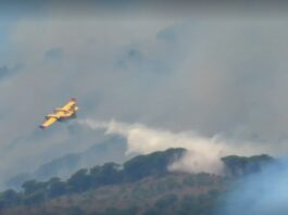 Incendio sul Vesuvio: situazione migliorata ma focolai ancora attivi, distrutta la Valle dell’Inferno