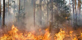 Emergenza incendi sul Vesuvio, a Torre del Greco attivato il Centro Operativo Comunale