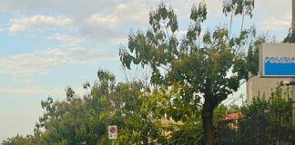 Napoli, controlli straordinari della Polizia di Stato a San Giovanni e Barra