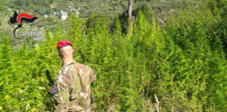 Castellammare e Gragnano, operazione “Continuum Bellum 3”: sequestri e un arresto