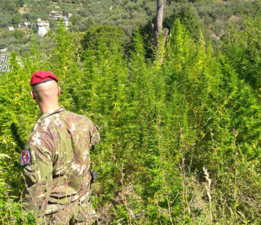 Castellammare e Gragnano, operazione “Continuum Bellum 3”: sequestri e un arresto