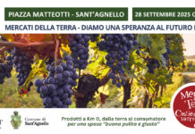 Sant’Agnello, torna il Mercato della Terra Slow Food: prodotti locali e biodiversità in piazza