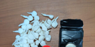 Napoli, controlli dei Carabinieri a Scampia e Secondigliano: sequestri e blitz antidroga
