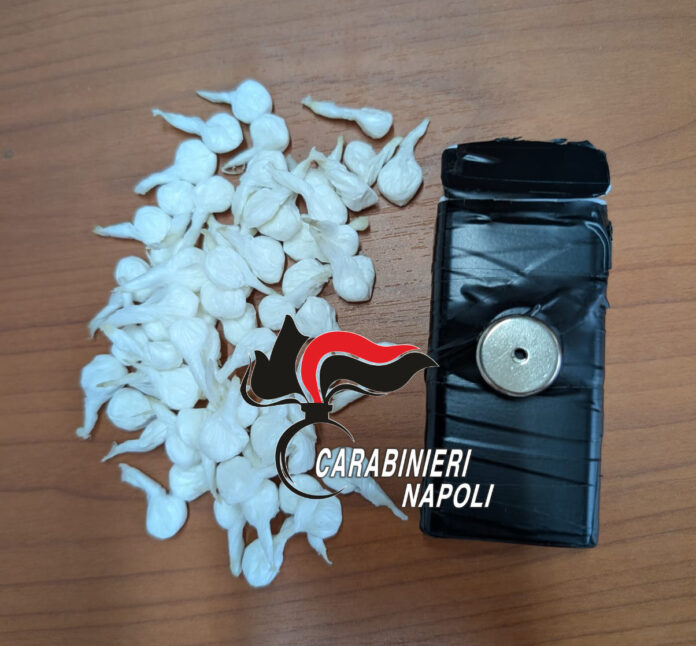 Napoli, controlli dei Carabinieri a Scampia e Secondigliano: sequestri e blitz antidroga