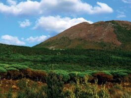 Ottaviano, oggi l’incarico per l’autopsia di Angelo Cutolo: si ipotizza l'omicidio colposo