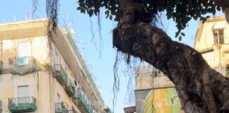 San Gennaro Superstar: il tour-evento di Partenope in Tour che accende Napoli tra fede, arte e street culture