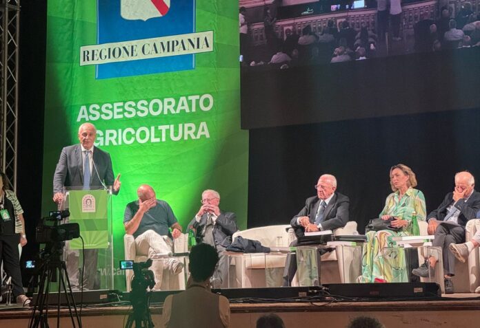 Campania Mater, successo straordinario al Palazzo Reale: l’agricoltura campana guarda al futuro Campania Mater, successo straordinario al Palazzo Reale: l’agricoltura campana guarda al futuro