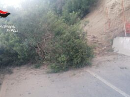 Bacoli, frana a via Scalandrone: strada invasa da detriti e pali elettrici, traffico bloccato