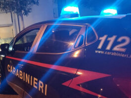 Ottaviano, 40enne aggredito da due pitbull nella notte di Halloween: ferito e portato in ospedale