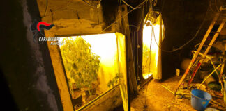 Sant’Antimo, droga nascosta nei muri di casa: arrestato pusher con un maxi carico di crack, hashish e marijuana