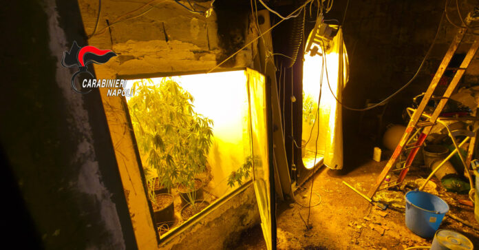 Sant’Antimo, droga nascosta nei muri di casa: arrestato pusher con un maxi carico di crack, hashish e marijuana