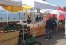 Torre Annunziata, domenica 5 ottobre torna l’isola pedonale sul corso con Slow Food