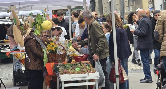 Torre Annunziata, il Mercato della Terra diventa appuntamento fisso: il centro città si trasforma in un’isola del gusto Torre Annunziata, il Mercato della Terra diventa appuntamento fisso: il centro città si trasforma in un’isola del gusto