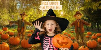 Sant’Antonio Abate apre il suo “Zucca Village”: un grande parco a tema ad ingresso gratuito per famiglie e bambini Sant’Antonio Abate apre il suo “Zucca Village”: un grande parco a tema ad ingresso gratuito per famiglie e bambini