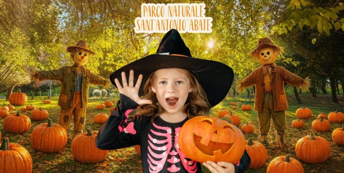 Sant’Antonio Abate apre il suo “Zucca Village”: un grande parco a tema ad ingresso gratuito per famiglie e bambini Sant’Antonio Abate apre il suo “Zucca Village”: un grande parco a tema ad ingresso gratuito per famiglie e bambini