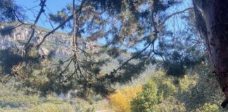Piano di Sorrento, inclusione e socialità: inaugurata la nuova gestione del Fondo Comunale di via Artemano