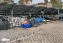 Mercato della Canzanella: il simbolo dello spreco verde. La storia infinita d’infrastrutture non funzionanti Mercato della Canzanella: il simbolo dello spreco verde. La storia infinita d’infrastrutture non funzionanti