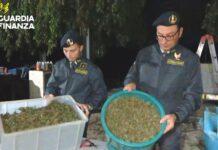 Fabbrica della droga sui Monti Lattari: sequestrata oltre una tonnellata di cannabis a Lettere